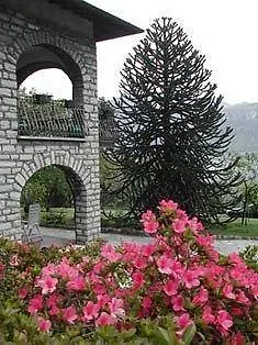 Niccolo Apartman Cadenabbia